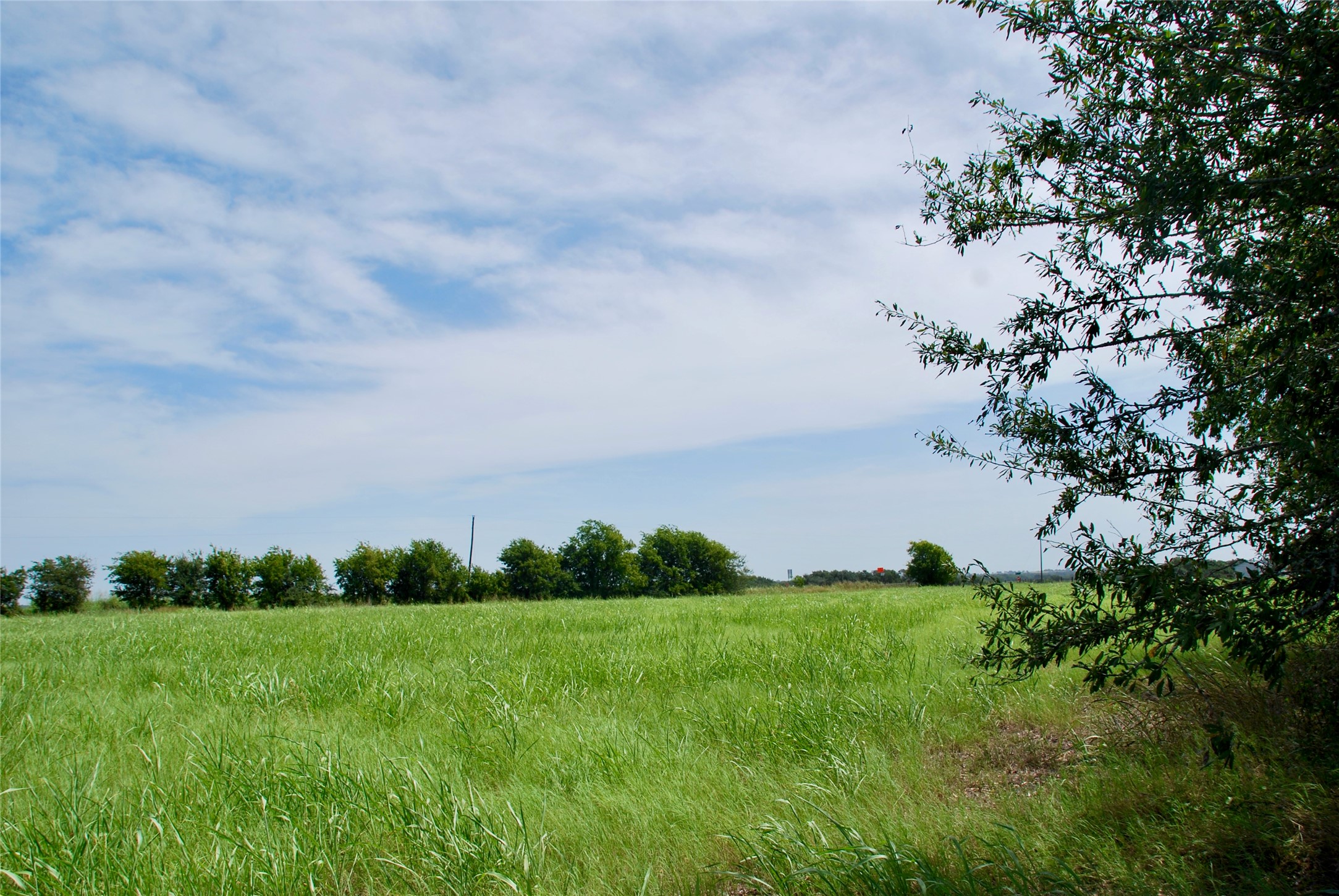 2 Company Field Road Schulenburg, TX 78956 - Photo 12 of 18 a view of a field with large trees