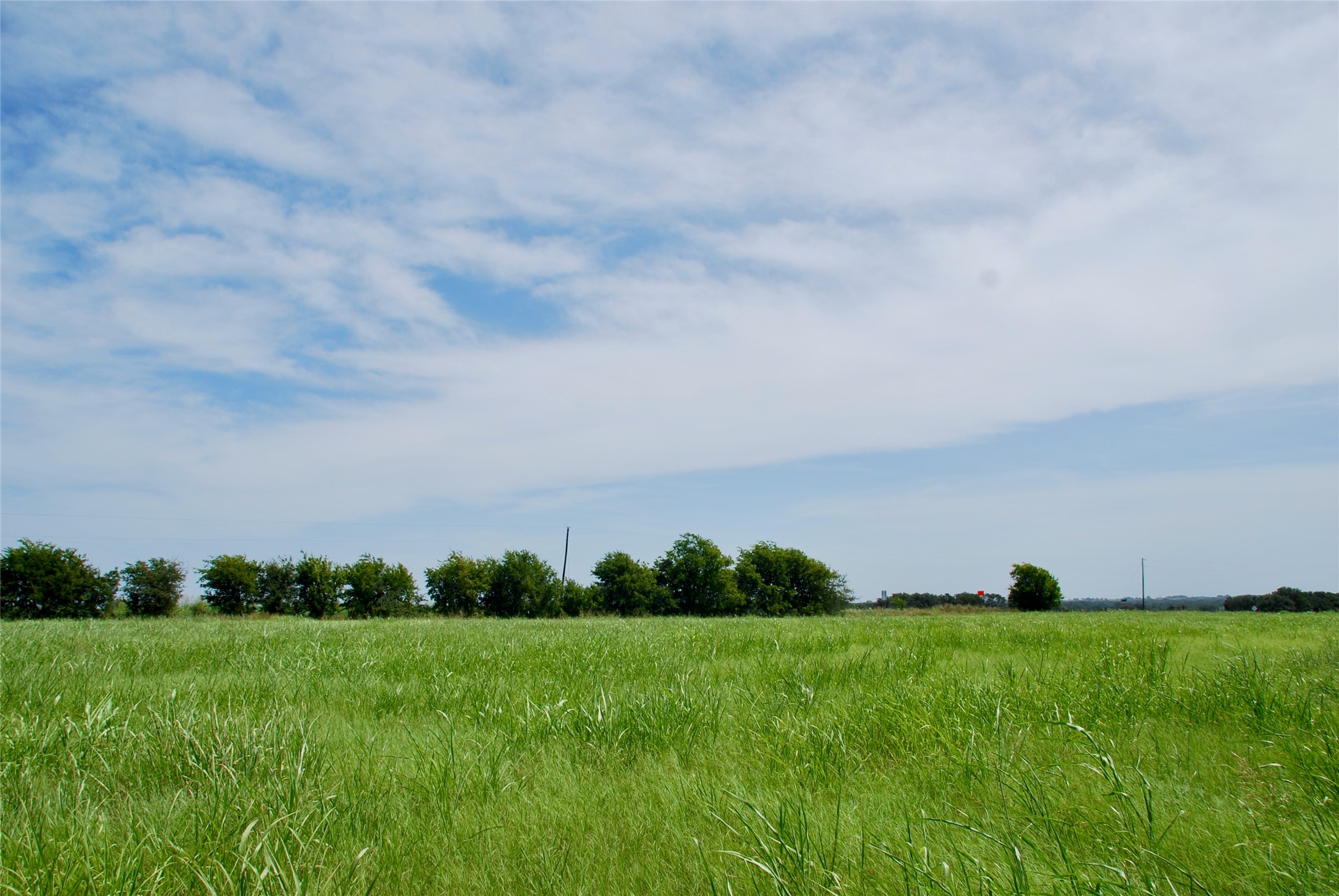 2 Company Field Road Schulenburg, TX 78956 - Photo 13 of 18 a view of a field with grass and trees
