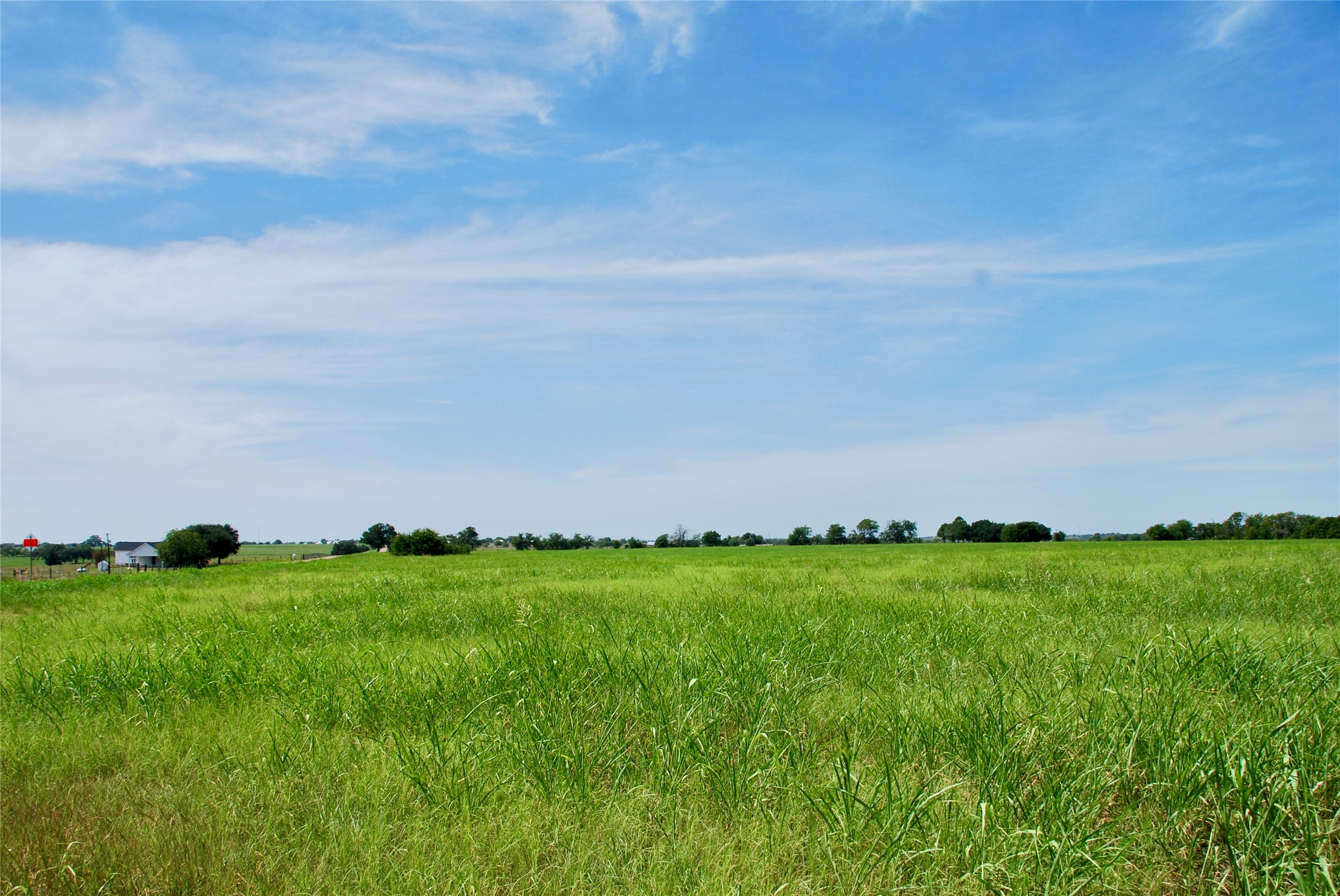 2 Company Field Road Schulenburg, TX 78956 - Photo 14 of 18 a view of a big yard with a large tree