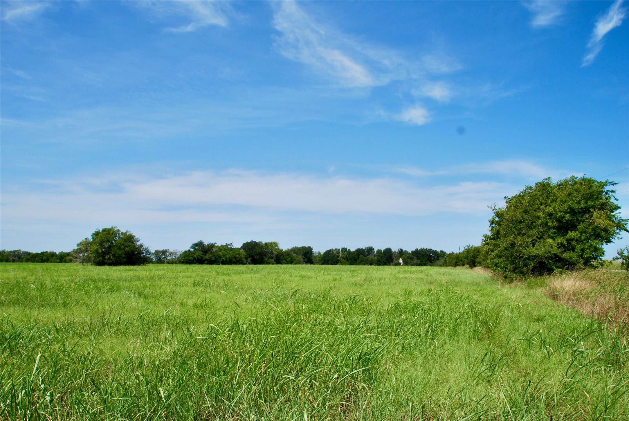 2 Company Field Road Schulenburg, TX 78956 - Photo 15 of 18 a view of yard with grass and green space