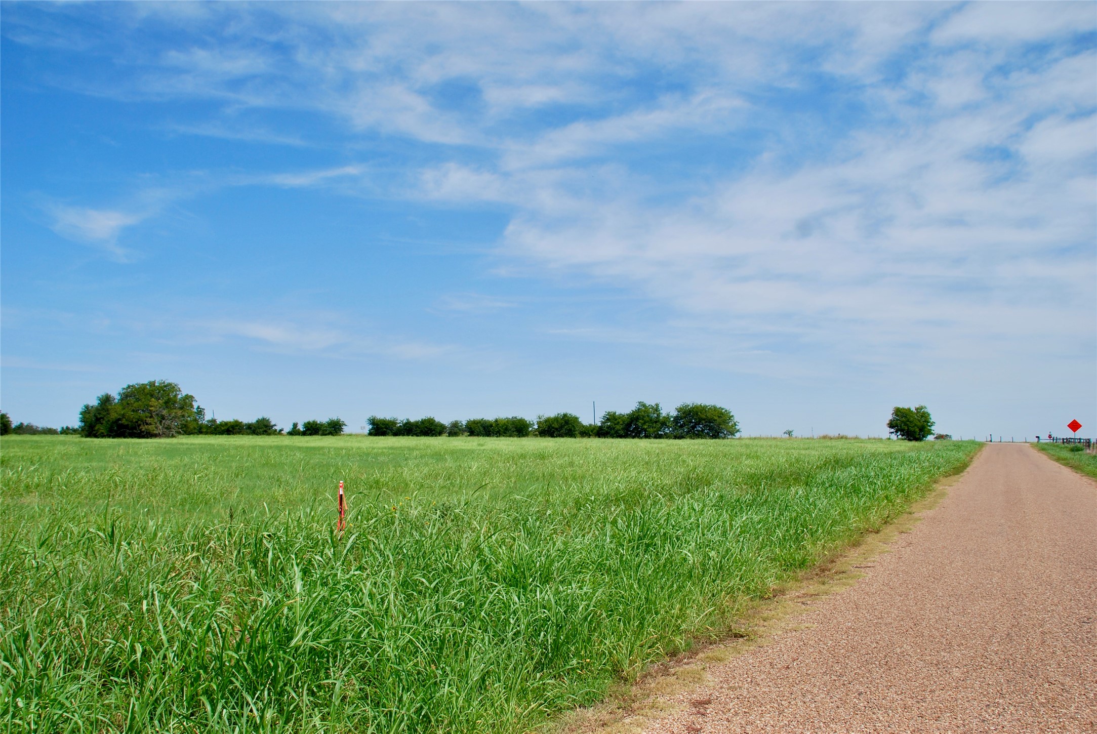 2 Company Field Road Schulenburg, TX 78956 - Photo 18 of 18 a view of a field with plants and trees