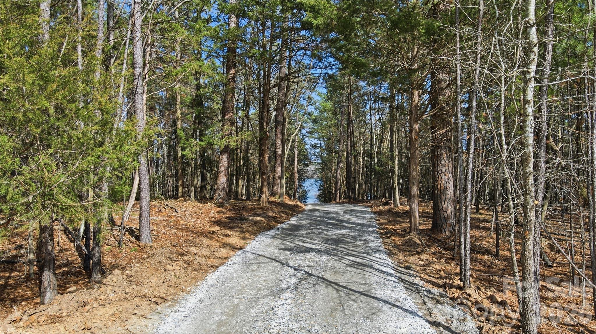 0 Sussex Road York, SC 29745 - Photo 19 of 20 a view of a backyard of the house