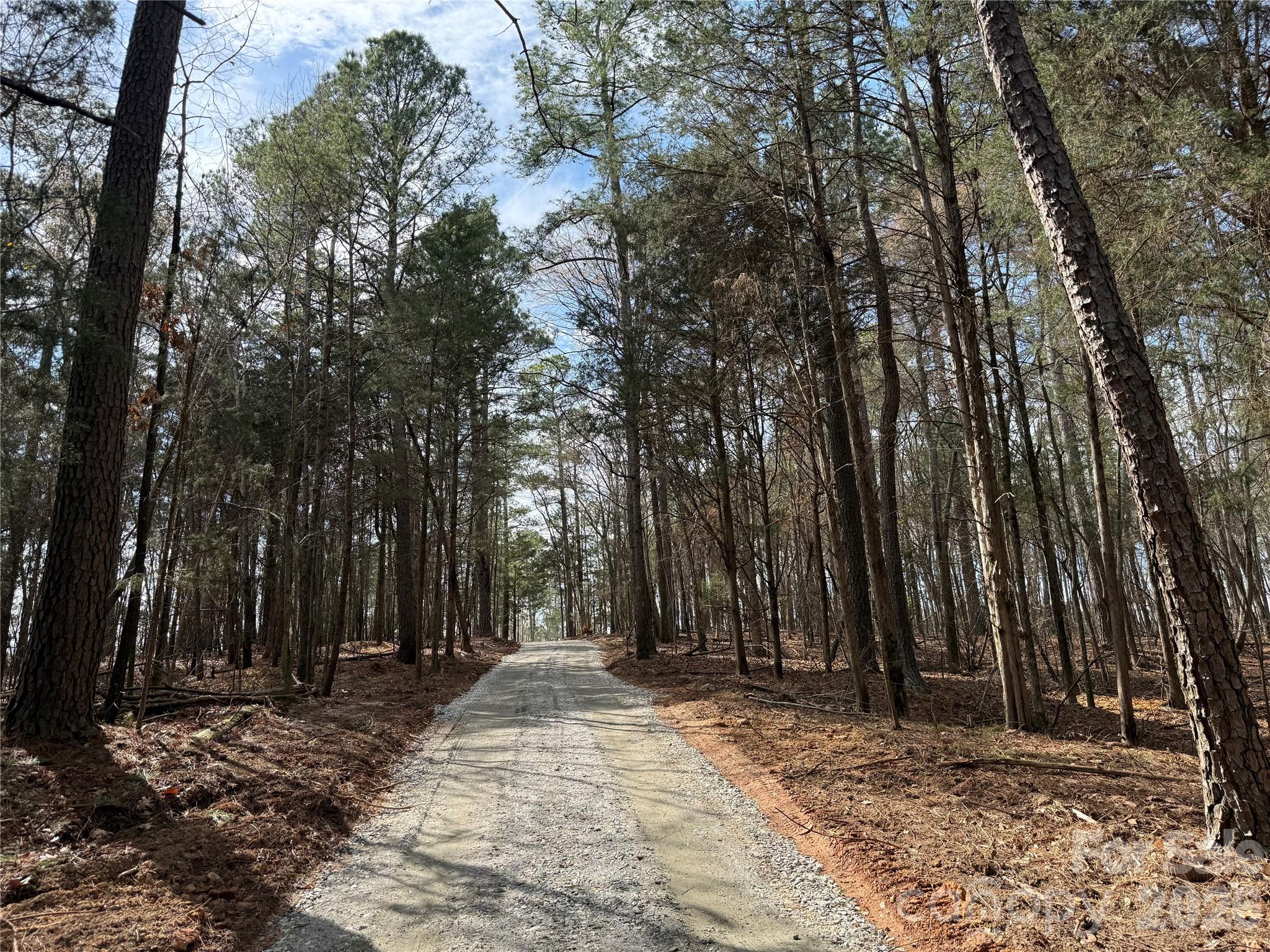 0 Sussex Road York, SC 29745 - Photo 20 of 20 a view of backyard with trees