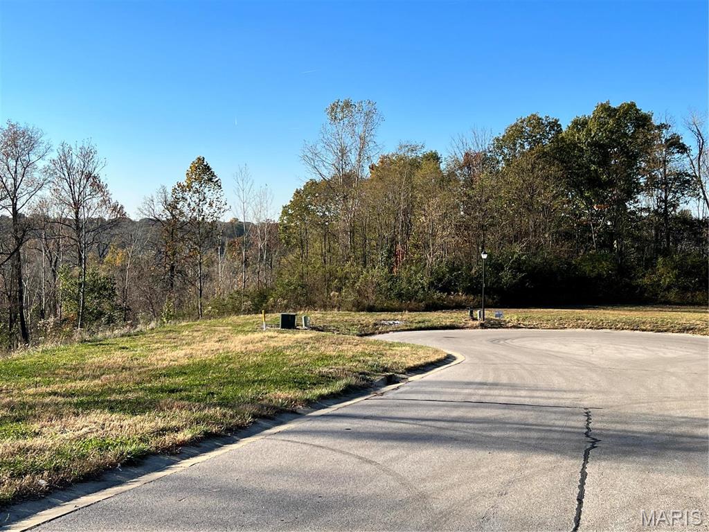 0 Tahoe Ridge Caseyville, IL 62232 - Photo 4 of 14