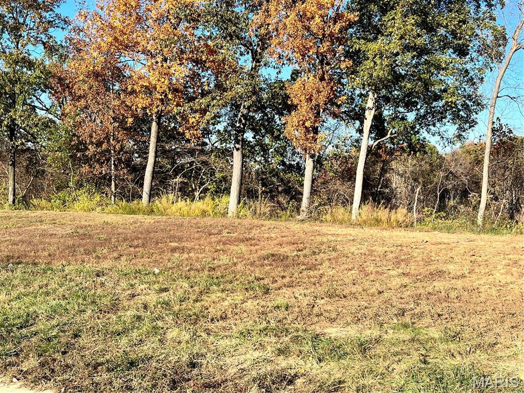 0 Tahoe Ridge Caseyville, IL 62232 - Photo 5 of 14