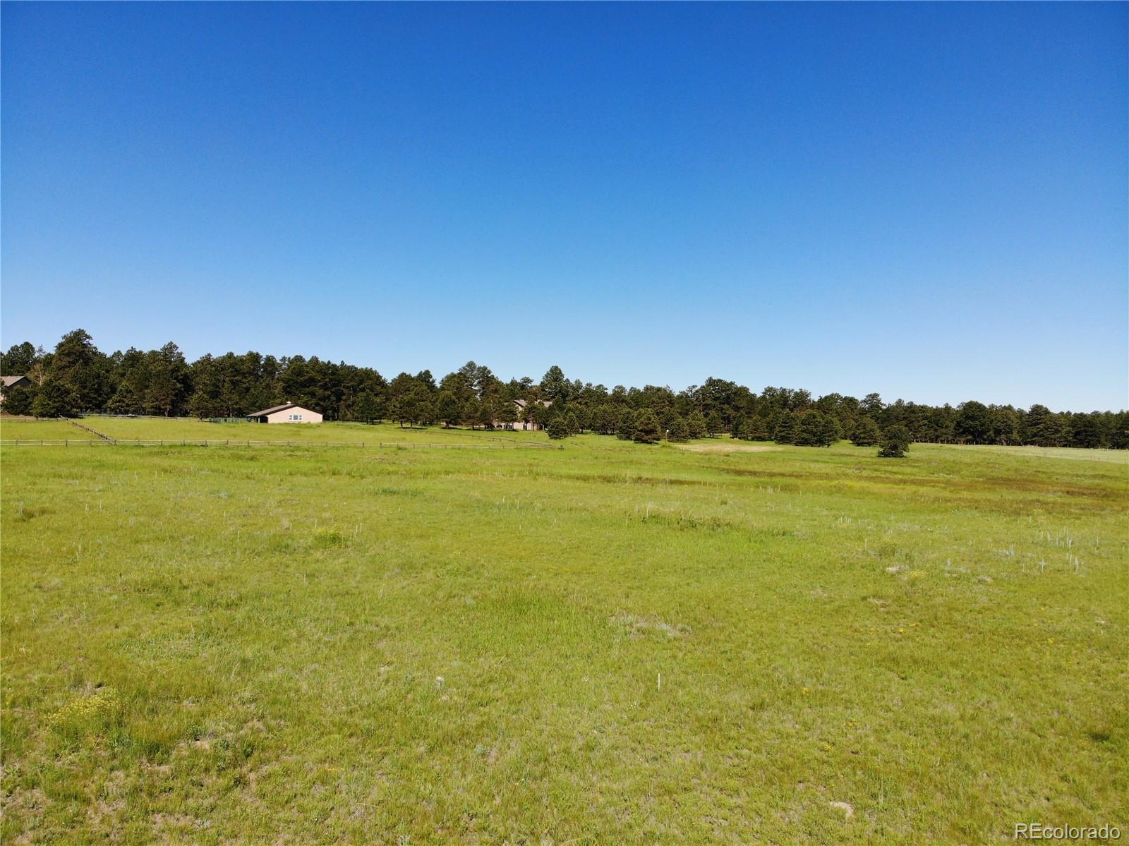 15599 Arfsten Road Larkspur, CO 80118 - Photo 12 of 33