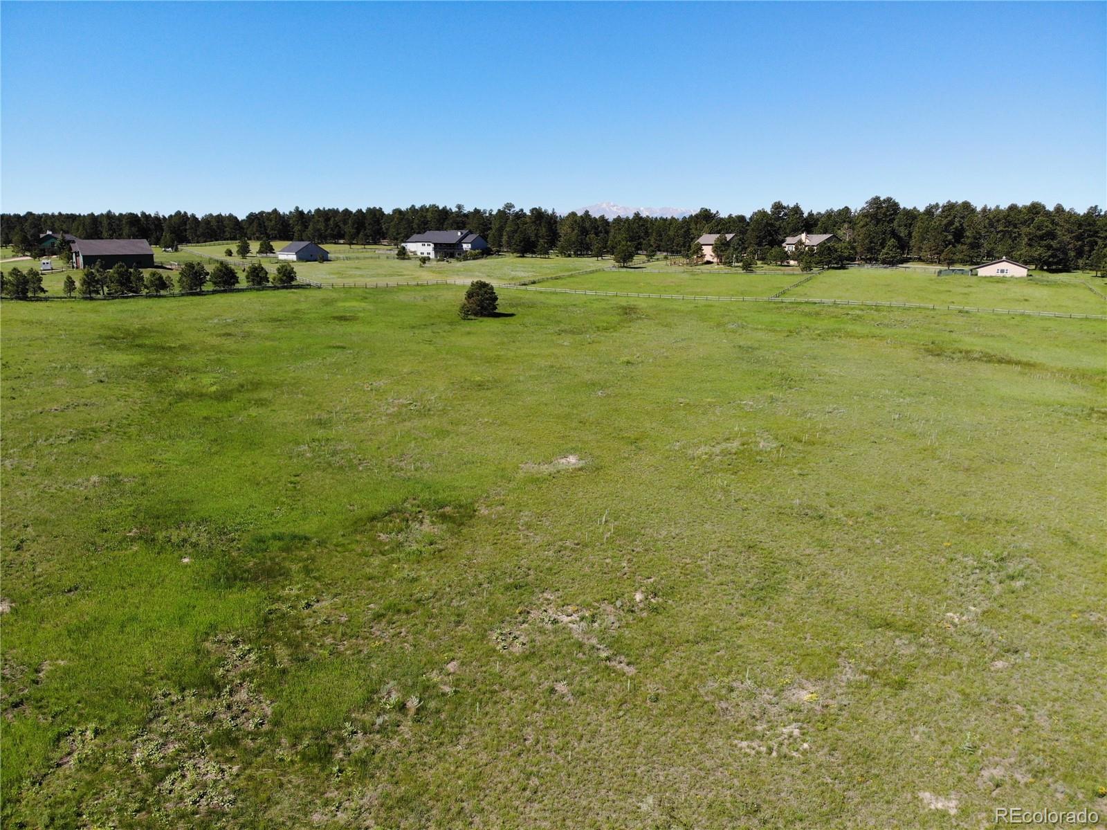 15599 Arfsten Road Larkspur, CO 80118 - Photo 17 of 33