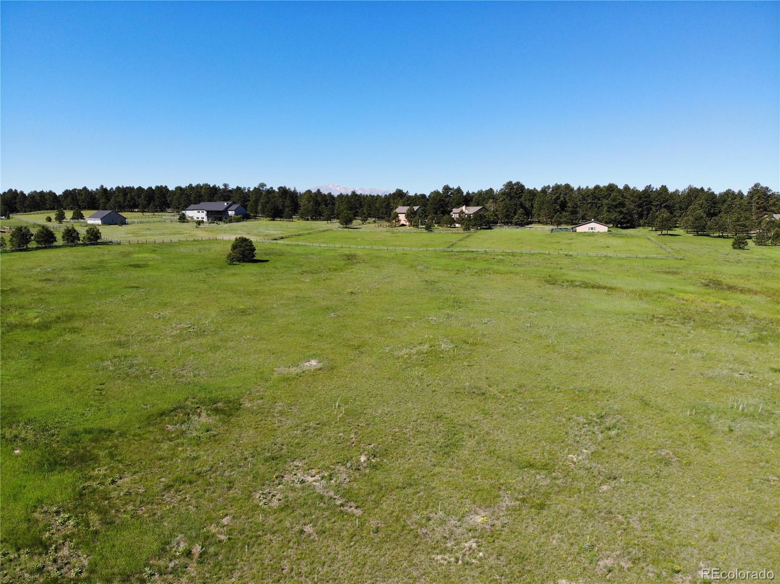 15599 Arfsten Road Larkspur, CO 80118 - Photo 18 of 33