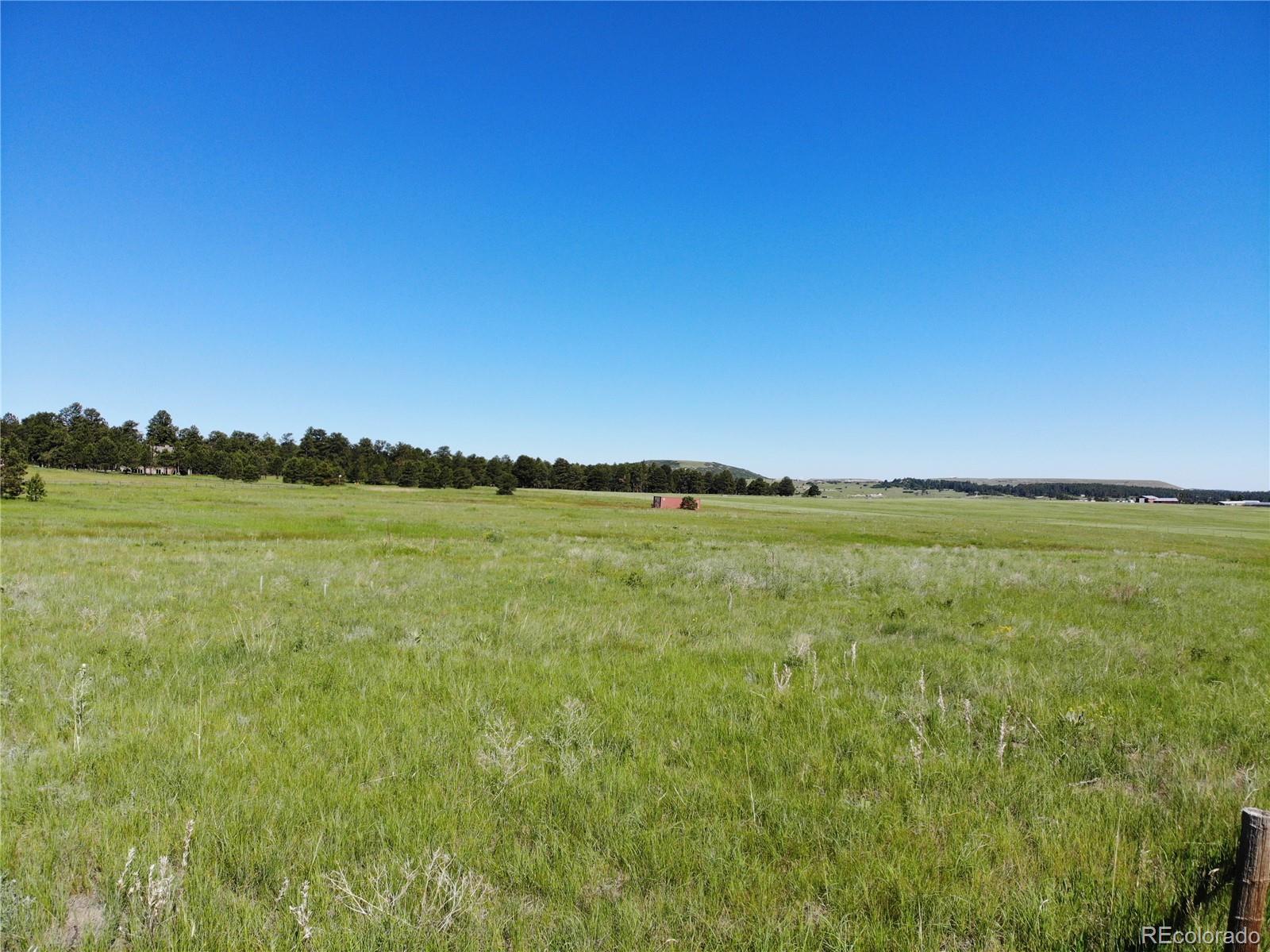 15599 Arfsten Road Larkspur, CO 80118 - Photo 3 of 33