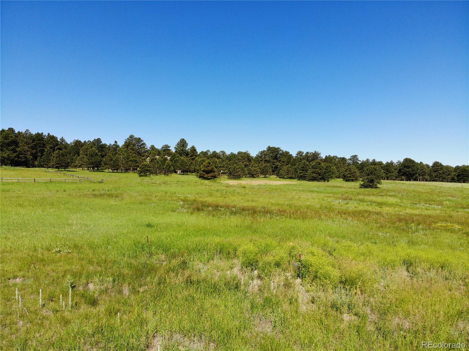15599 Arfsten Road Larkspur, CO 80118 - Photo 32 of 33