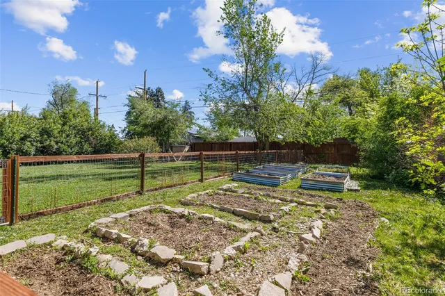 a view of a park with large trees