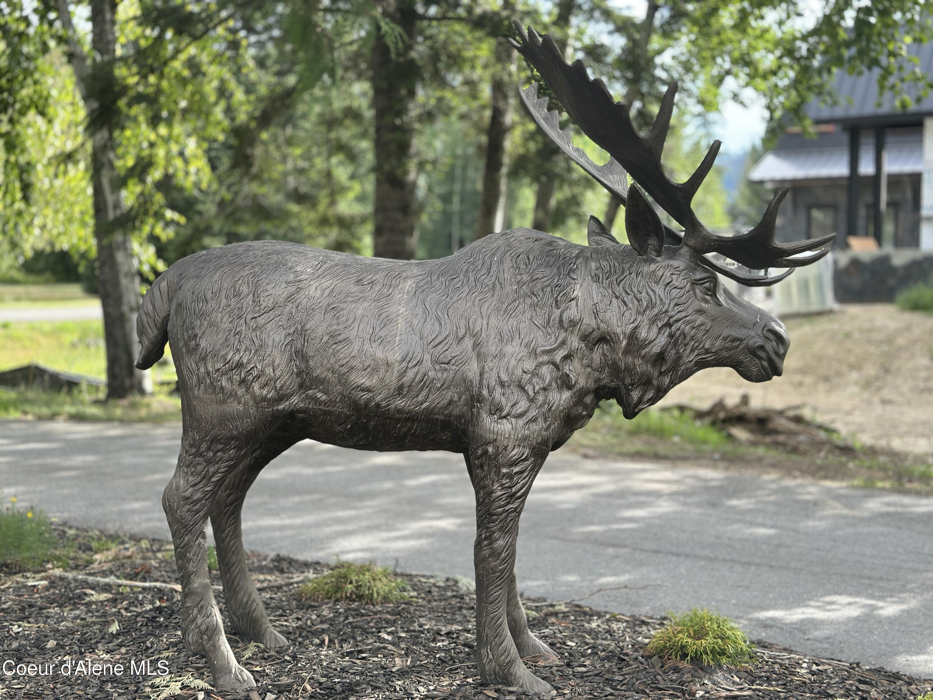 Nna Marie Victoria Court Sandpoint, ID 83864 - Photo 12 of 33 Moose Statue