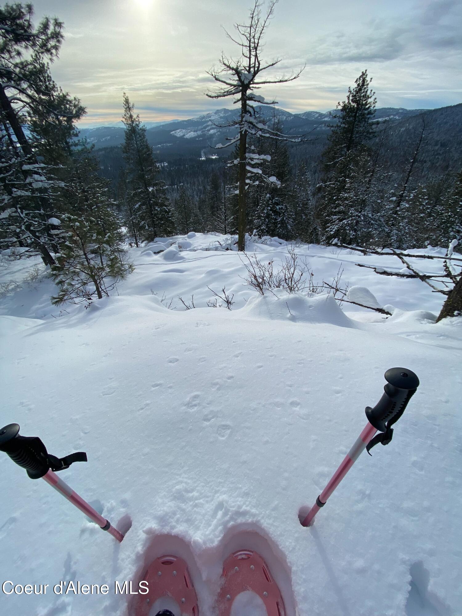 Nna Marie Victoria Court Sandpoint, ID 83864 - Photo 27 of 33 Powder Day at Schweitzer