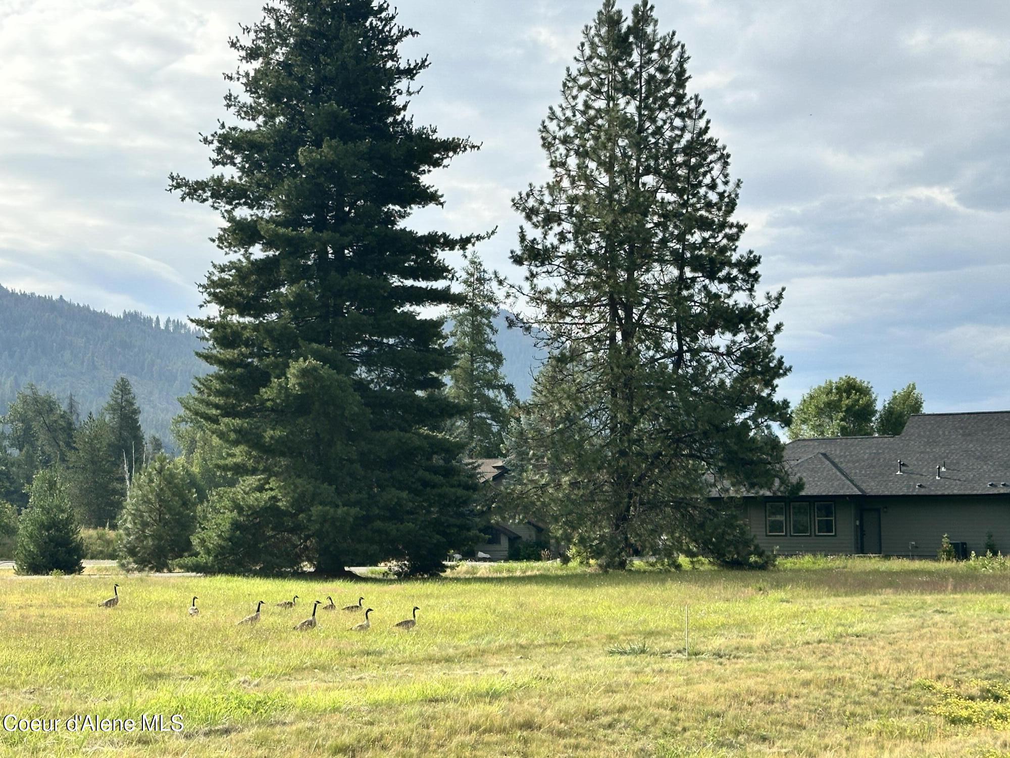 Nna Marie Victoria Court Sandpoint, ID 83864 - Photo 7 of 33 Wildlife Abounds