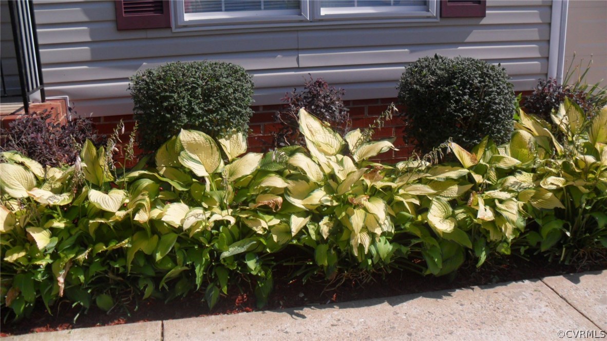 1224 Tree Ridge Road Henrico, VA 23231 - Photo 4 of 20 a view of a garden