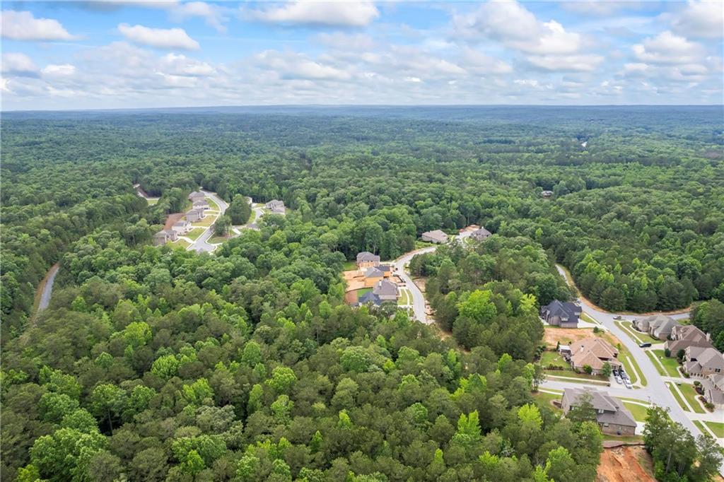 4267 Matisse Lane Fairburn, GA 30213 - Photo 78 of 88
