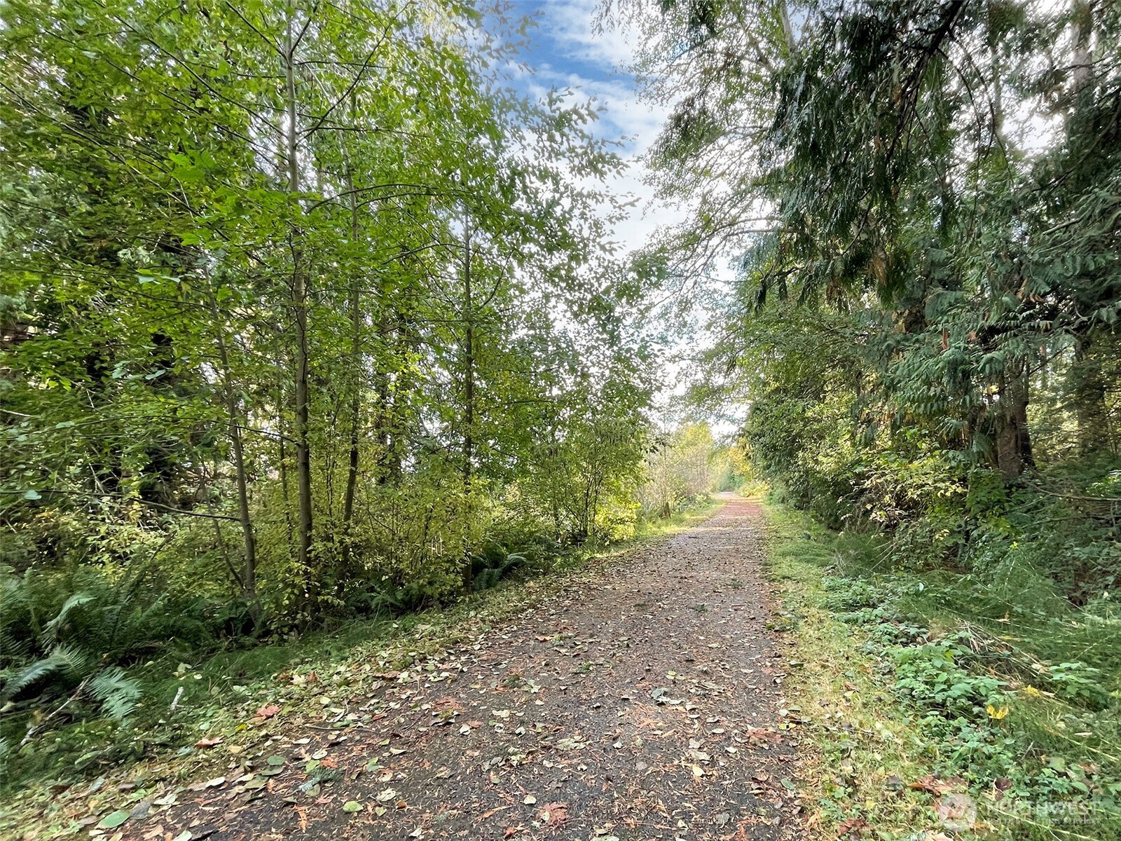 3530 West Sequim Bay Road Sequim, WA 98382 - Photo 36 of 40 a view of a forest with trees in the background