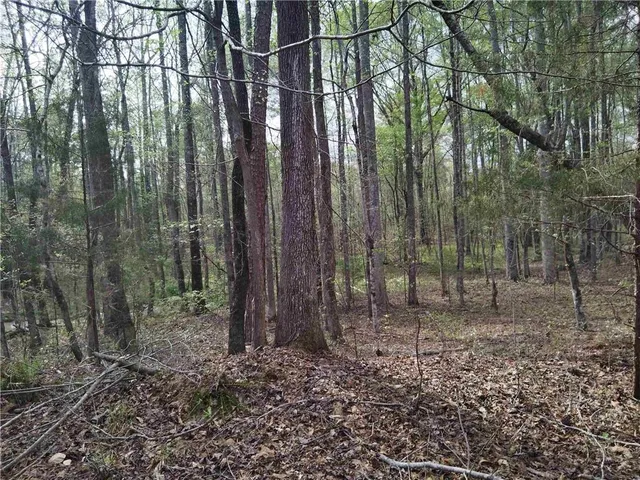 $69,000 | 75 Lee, Greenville, GA 30222