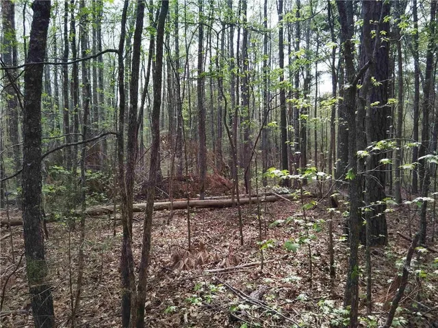 $69,000 | 75 Lee, Greenville, GA 30222