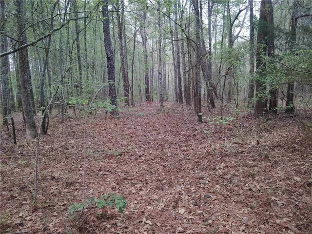 $69,000 | 75 Lee, Greenville, GA 30222