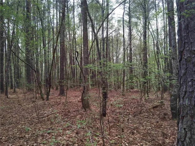 $69,000 | 75 Lee, Greenville, GA 30222