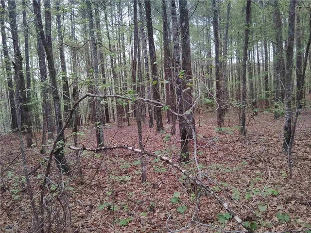 $69,000 | 75 Lee, Greenville, GA 30222