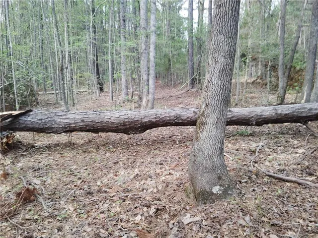 $69,000 | 75 Lee, Greenville, GA 30222