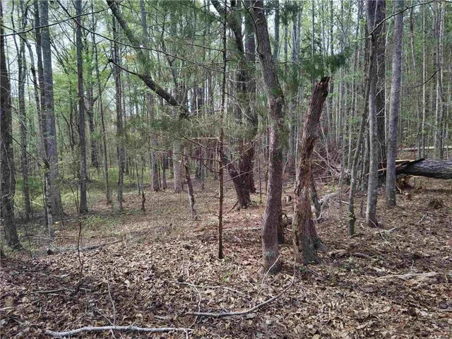 $69,000 | 75 Lee, Greenville, GA 30222