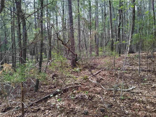 $69,000 | 75 Lee, Greenville, GA 30222