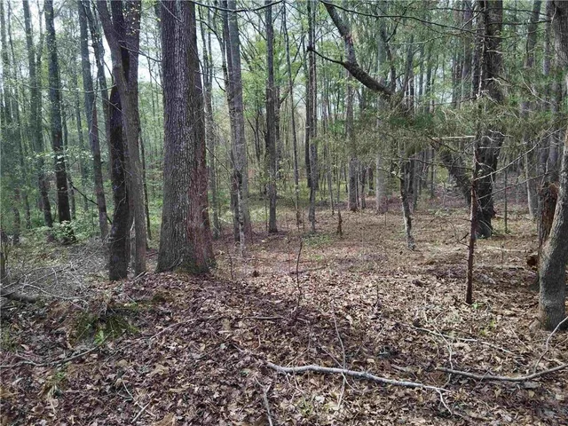 $69,000 | 75 Lee, Greenville, GA 30222