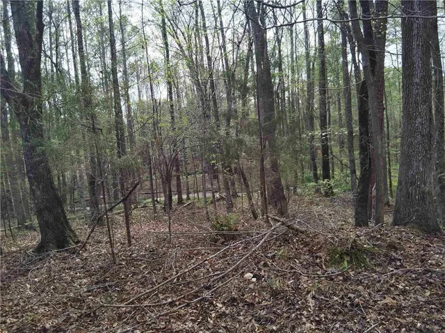 $69,000 | 75 Lee, Greenville, GA 30222