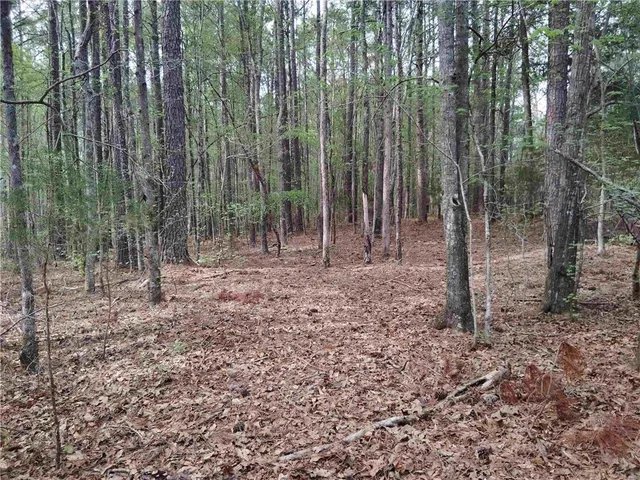 $69,000 | 75 Lee, Greenville, GA 30222