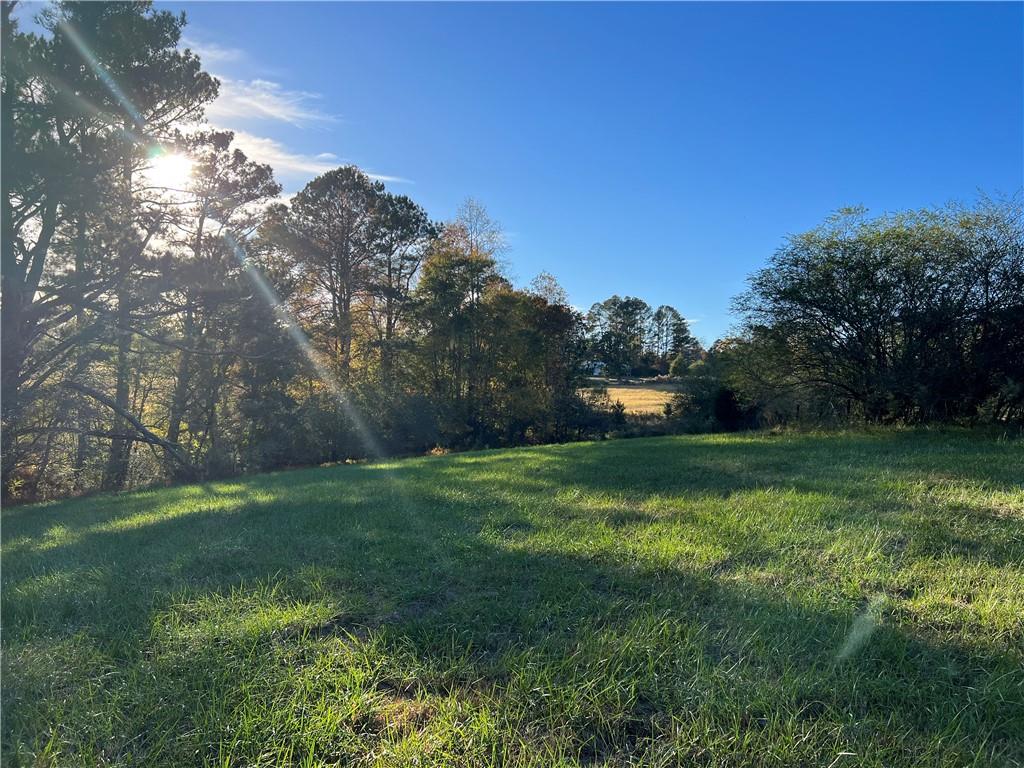 Lot 2 Long Road Ball Ground, GA 30107 - Photo 1 of 1 a big yard with lots of green space