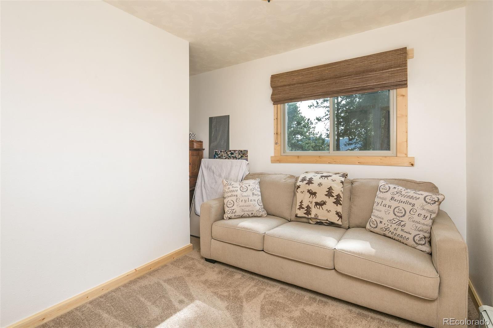 289 Double Tree Road Bailey, CO 80421 - Photo 15 of 40