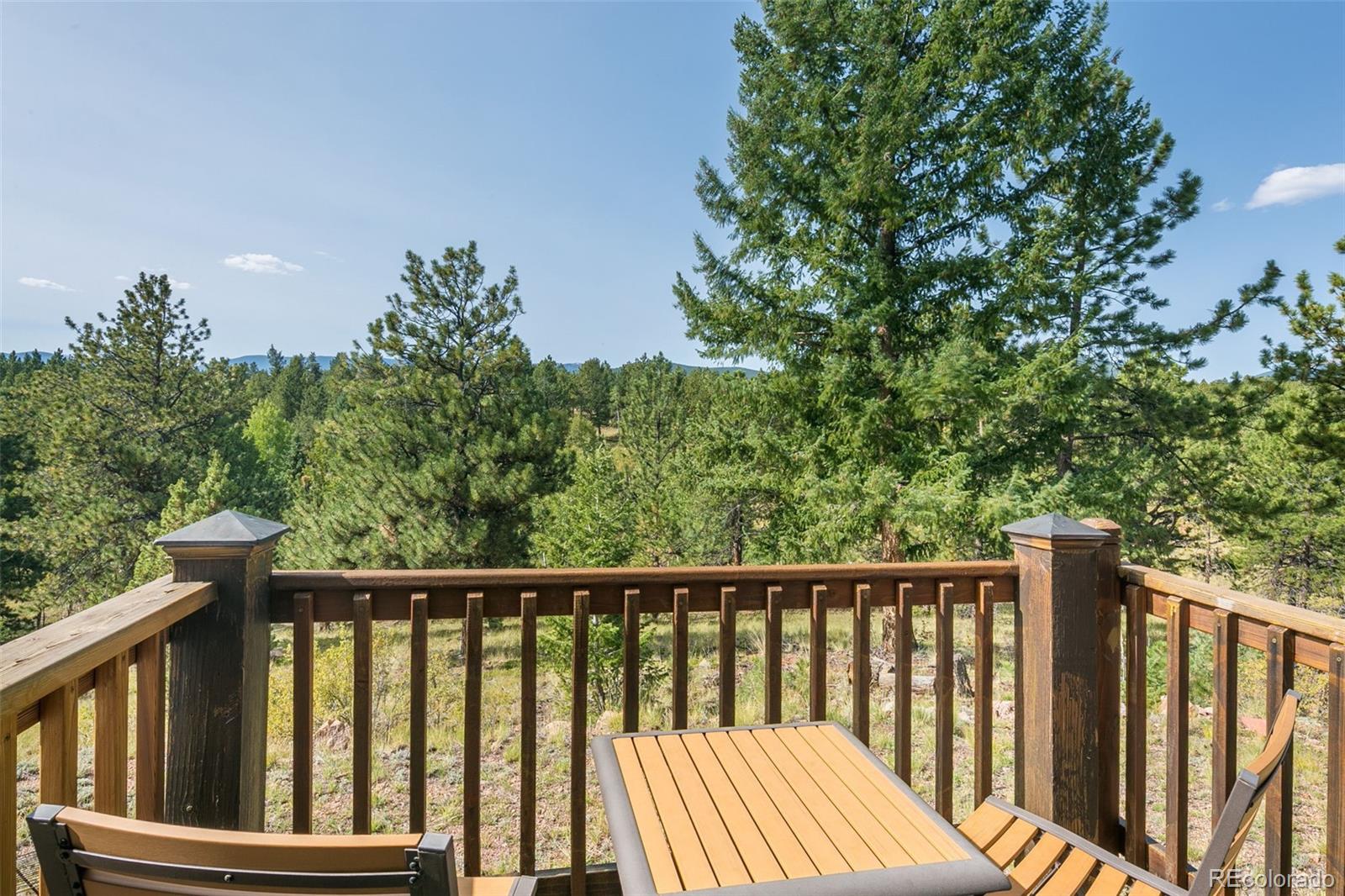 289 Double Tree Road Bailey, CO 80421 - Photo 28 of 40