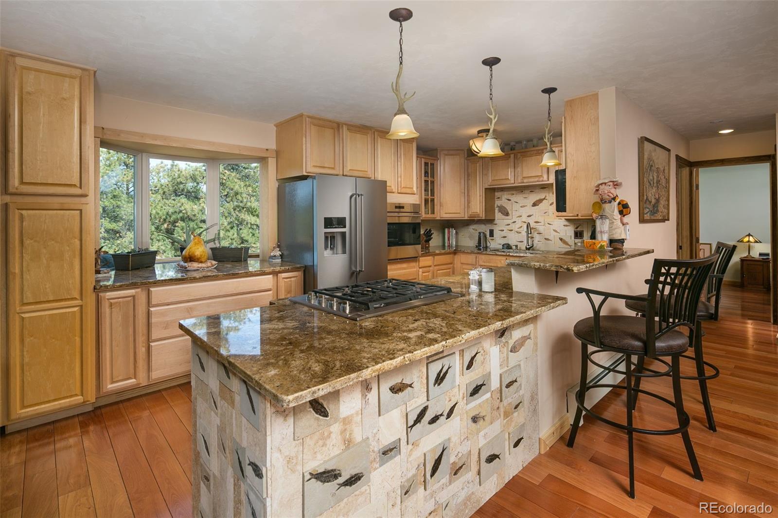 289 Double Tree Road Bailey, CO 80421 - Photo 4 of 40