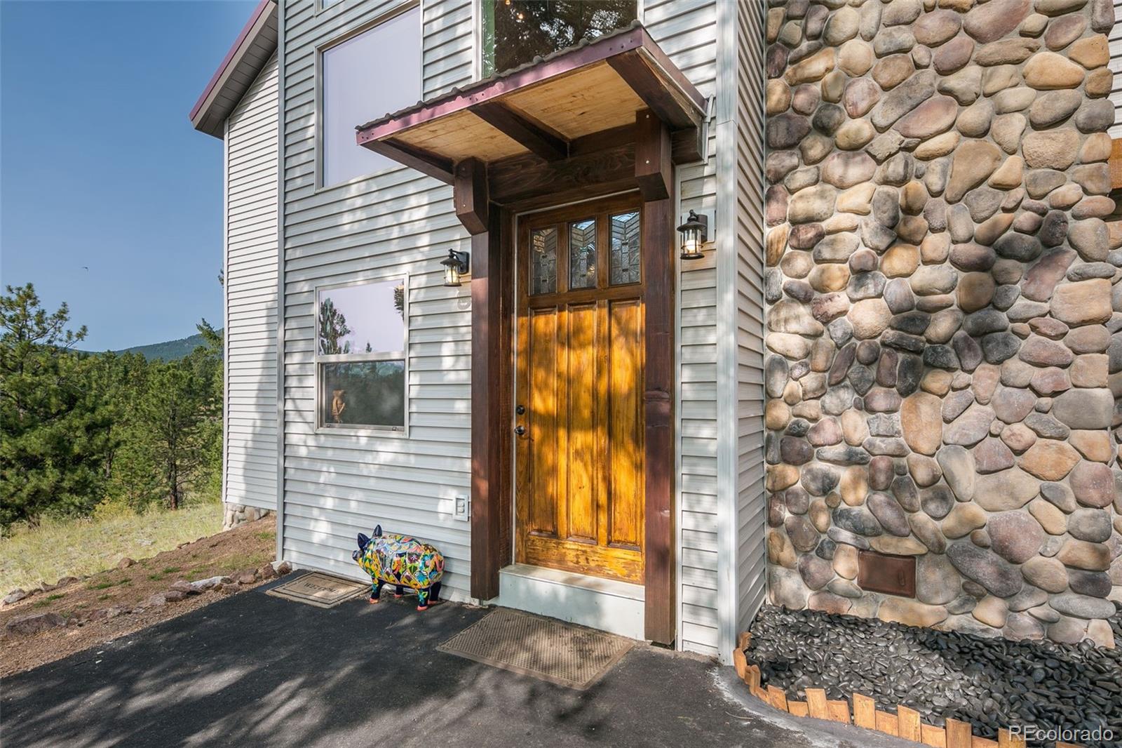 289 Double Tree Road Bailey, CO 80421 - Photo 9 of 40