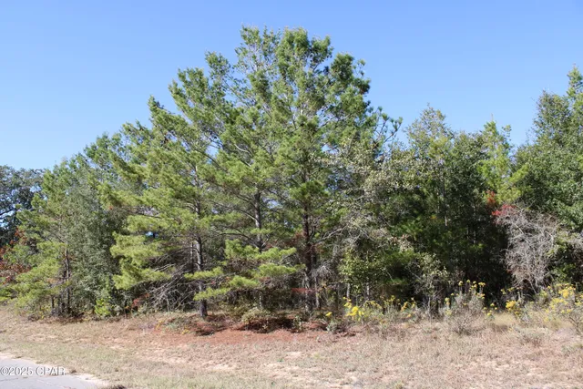 $12,000 | 0 Overton Drive, Chipley, FL 32428