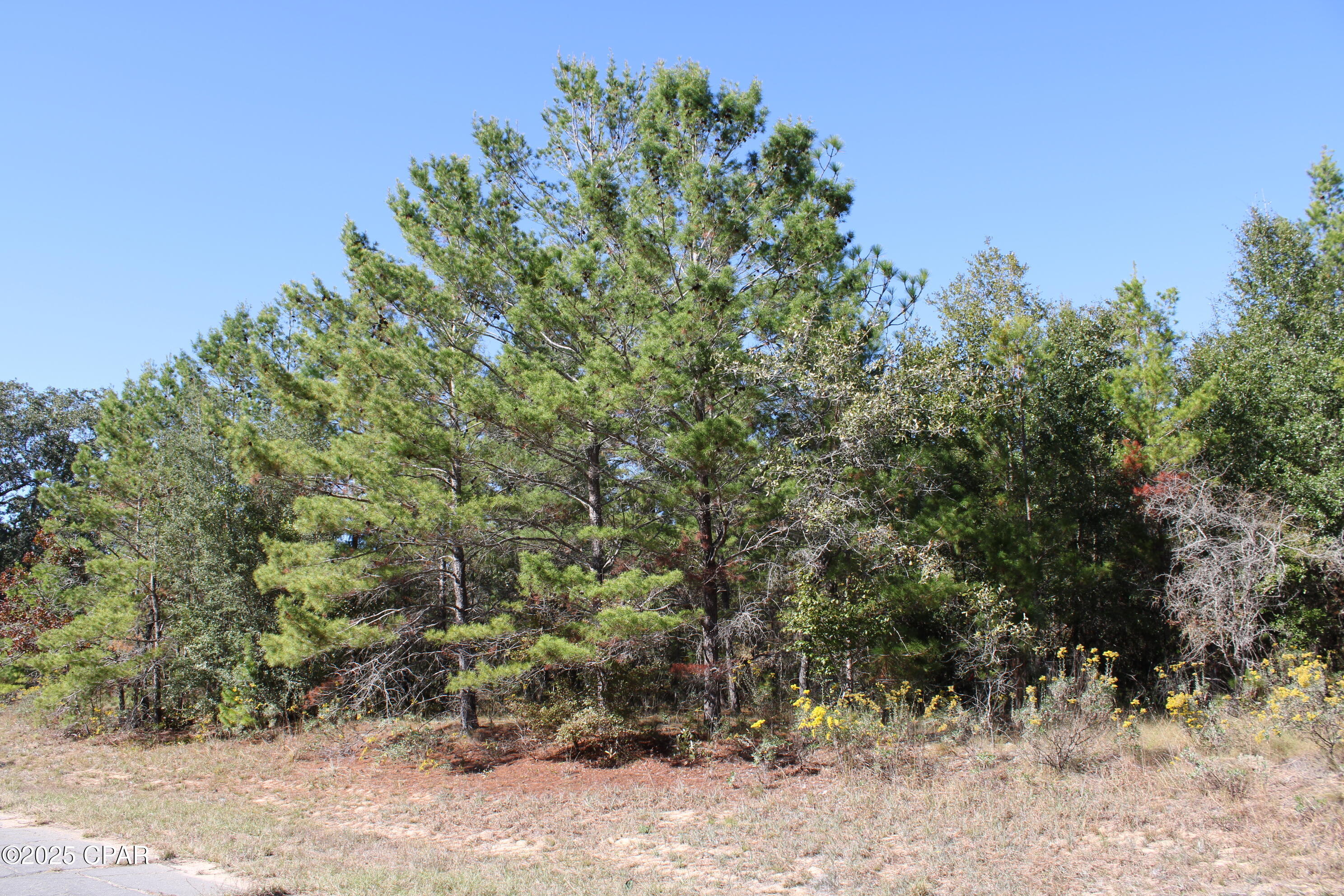 0 Overton Drive Chipley, FL 32428 - Photo 2 of 6