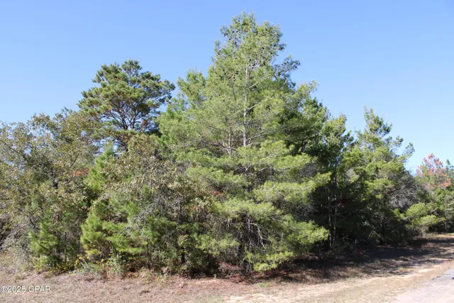 $12,000 | 0 Overton Drive, Chipley, FL 32428