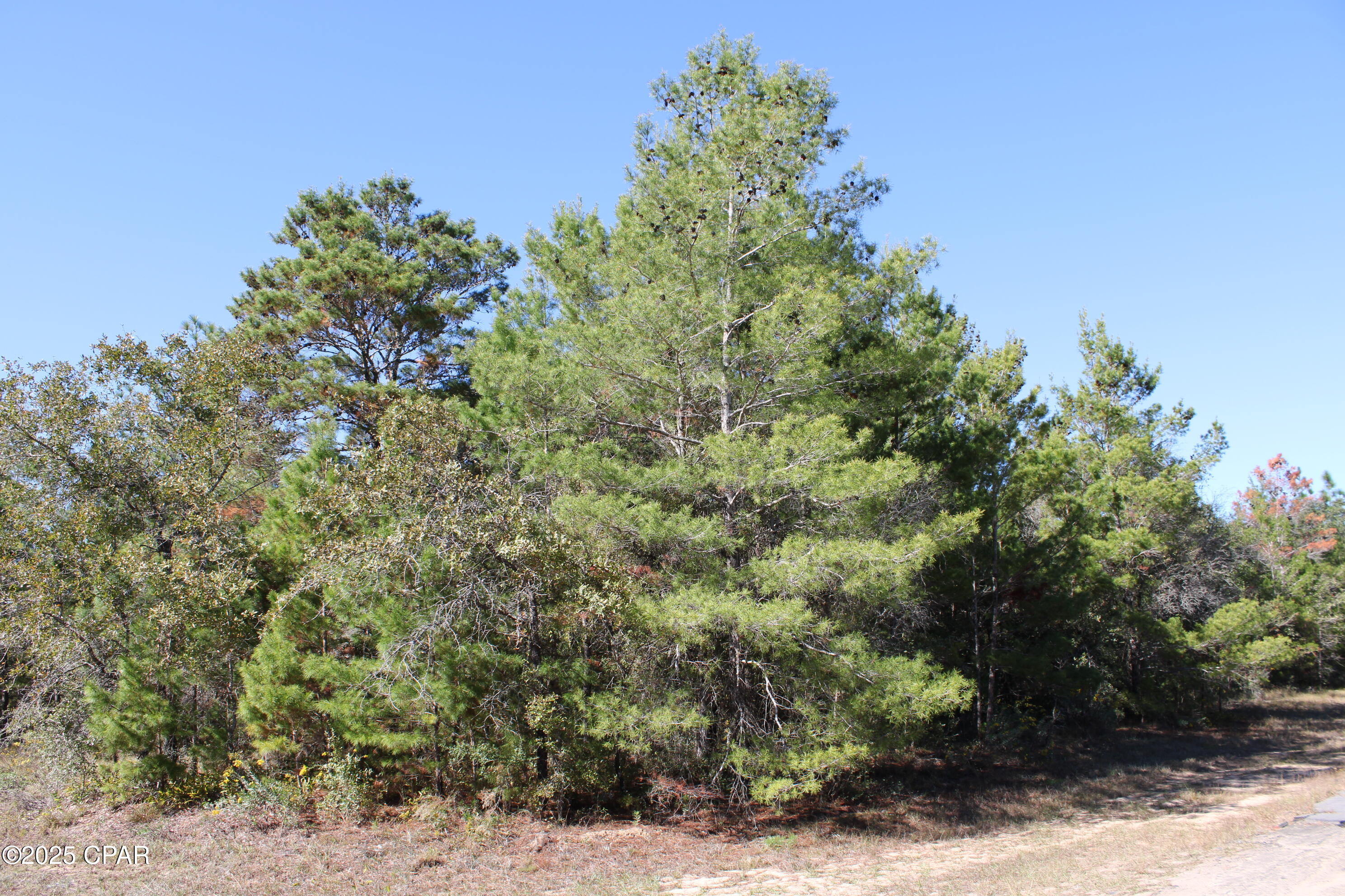 0 Overton Drive Chipley, FL 32428 - Photo 4 of 6