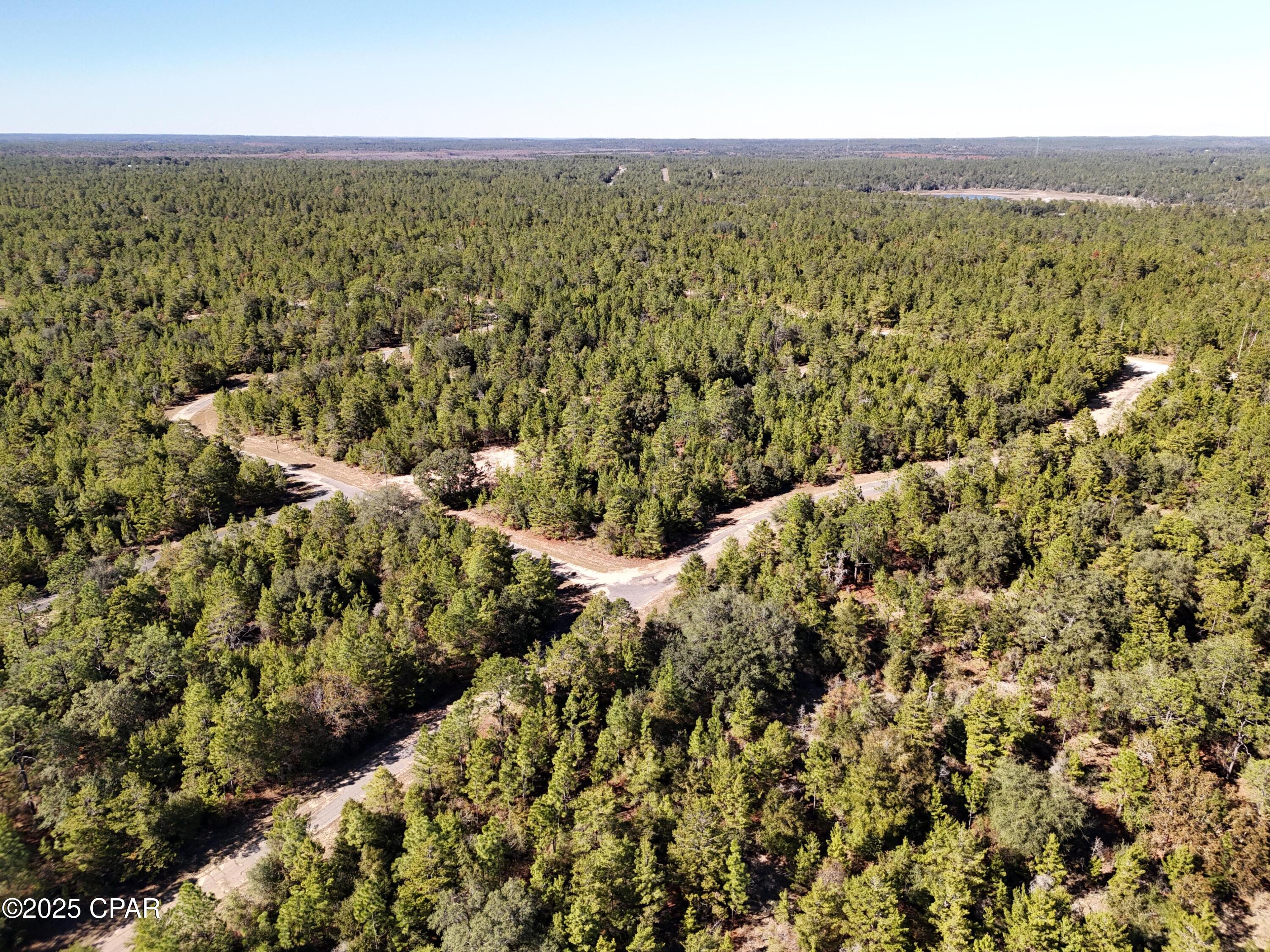 0 Overton Drive Chipley, FL 32428 - Photo 6 of 6