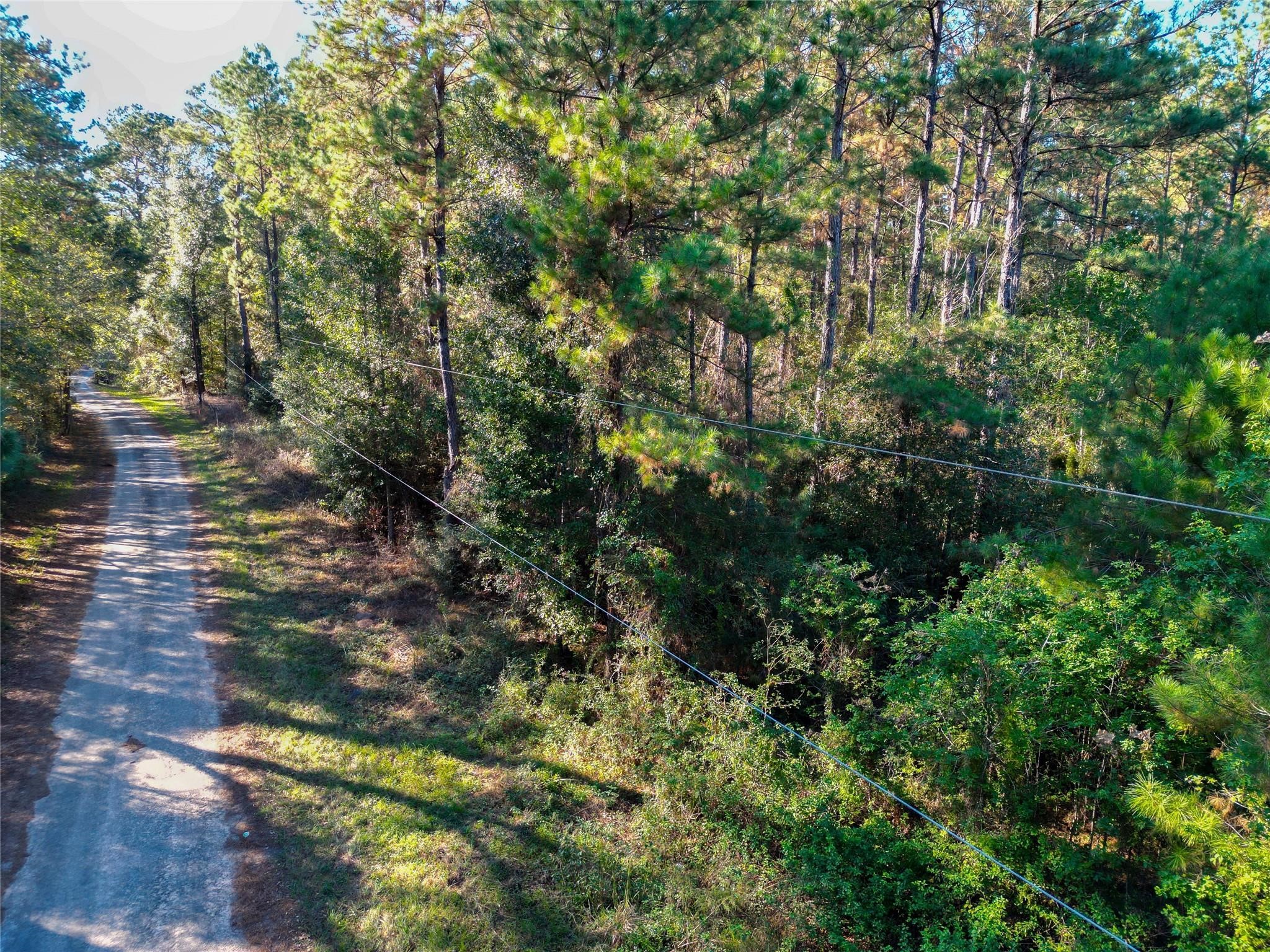 0 County Road 2125 Cleveland, TX 77327 - Photo 13 of 15