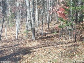 0 Goshen Road Montpelier, VA 23192 - Photo 1 of 1 Gallery Image 1