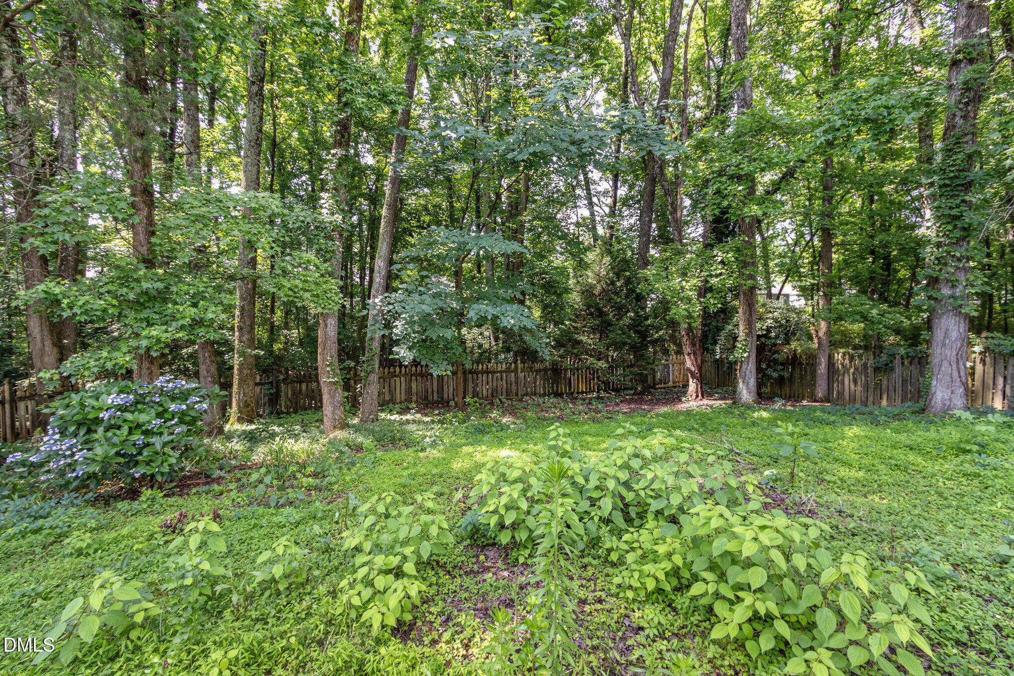2324 Dahlgreen Road Raleigh, NC 27615 - Photo 19 of 21 a backyard of a house with lots of green space