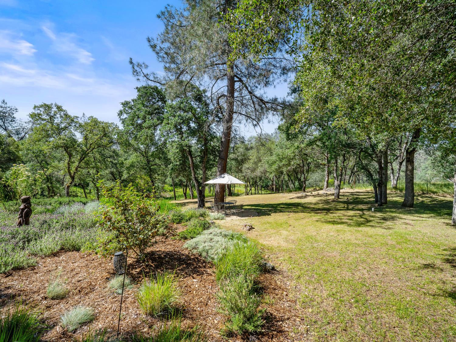 5080 Gold Hill Road Placerville, CA 95667 - Photo 40 of 63 Zen in the backyard.