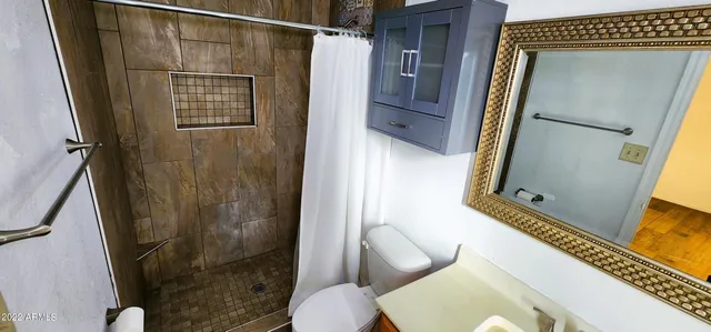 a bathroom with a shower toilet and sink