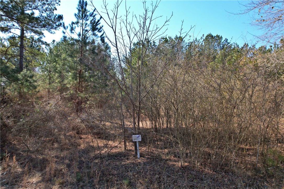 Lot 134 Mcalister Rd Union West Union, SC 29696 - Photo 11 of 31