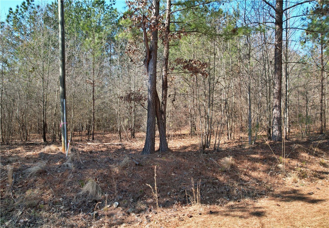 Lot 134 Mcalister Rd Union West Union, SC 29696 - Photo 2 of 31
