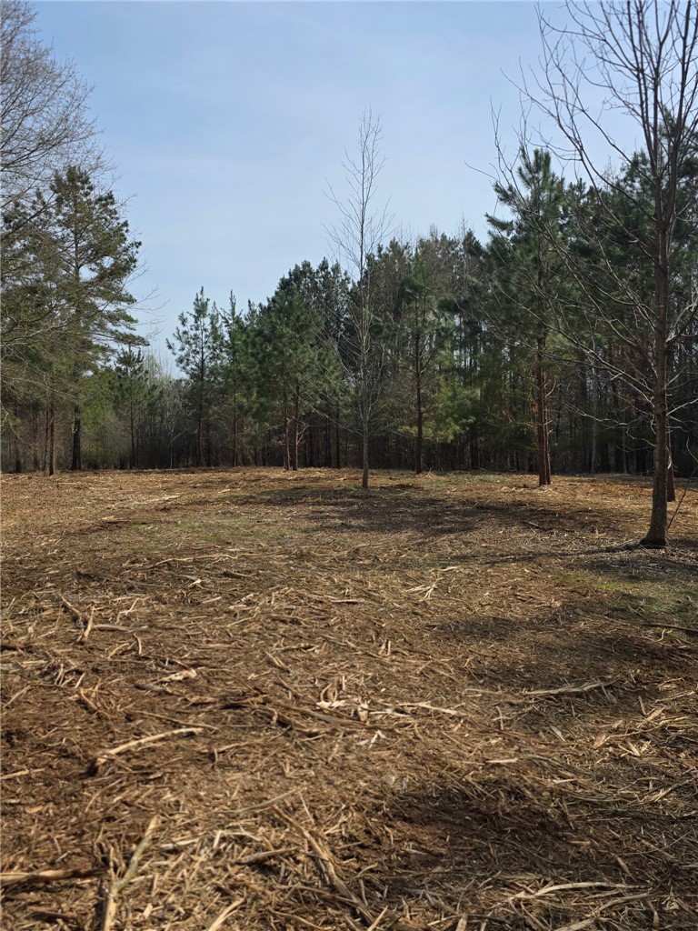 Lot 134 Mcalister Rd Union West Union, SC 29696 - Photo 28 of 31 A spacious lot featuring a natural treeline, offering privacy and scenic views.